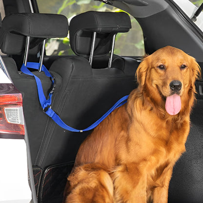 laisse-chien-attache-pour-voiture