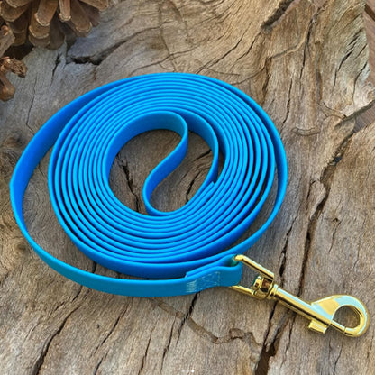 laisse-chien-de-couleur-bleu-sur-du-bois