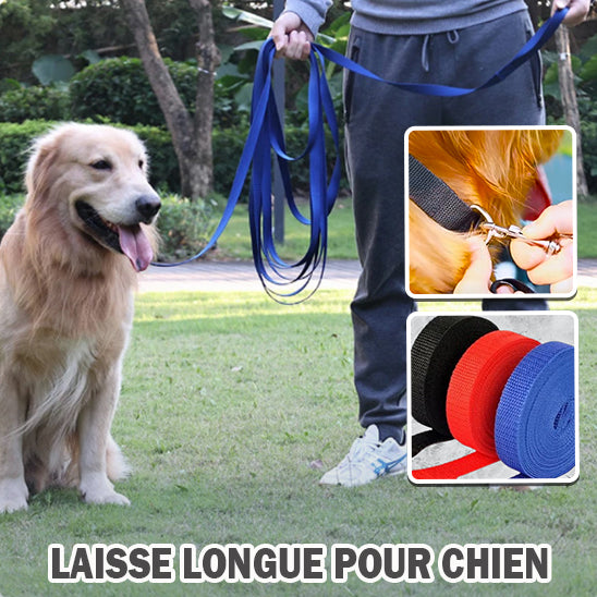 laisse-chien-longue