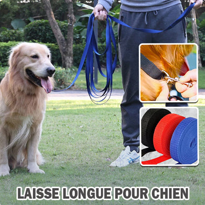 laisse-chien-longue