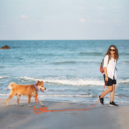 laisse-chien-canin-avec-son-maitre-qui-marche-le-long-de-la-plage-vagues