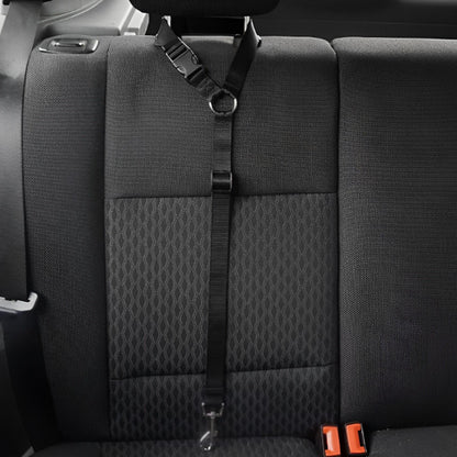 laisse-chien-voiture-noir