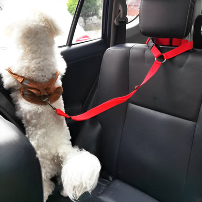 laisse-chien-voiture-rouge
