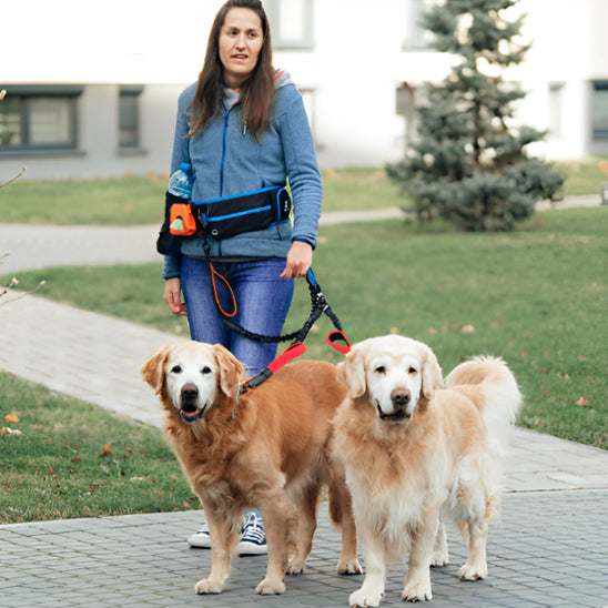 laisse double pour chien coloris rouge femme deux goldens beiges