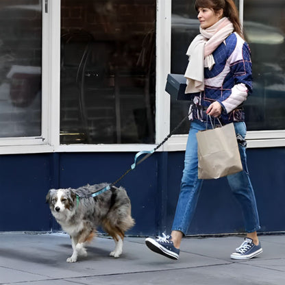 laisse-mains-libres-pour-chiens-bleu