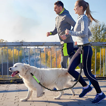 laisse-mains-libres-pour-chiens-plein-air
