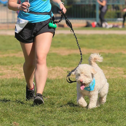 laisse-mains-libres-pour-chiens-promenade