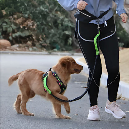 laisse-mains-libres-pour-chiens-vert