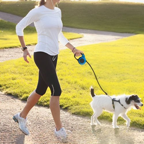 laisse pour chien bleu noir canin maitre promenade