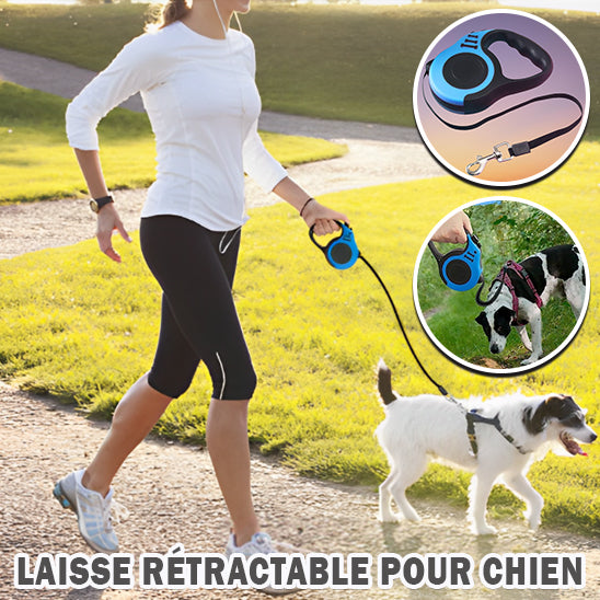 laisse-pour-chien-bleu