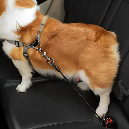 laisse-pour-chien-ceinture-pour-canin-trajet-voiture
