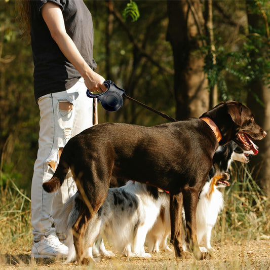laisse pour chien enrouleur trois canins maitre