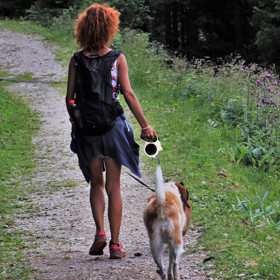 laisse pour chien enrouleur maitre marche canin