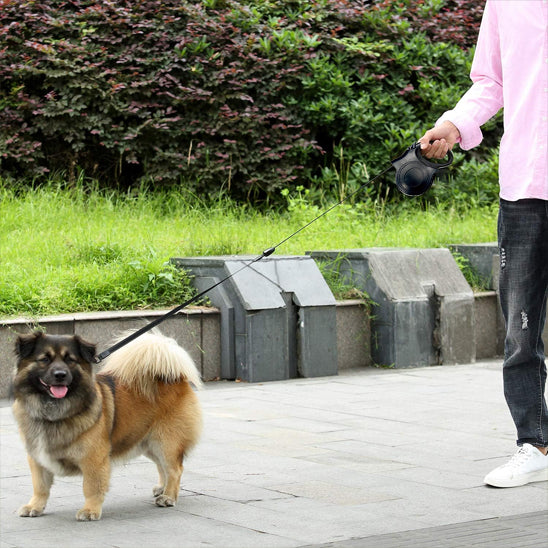 laisse pour chien enrouleur noir