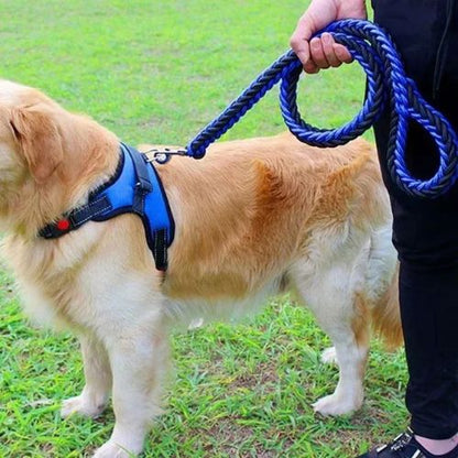 laisse-pour-chien-noire-et-bleue