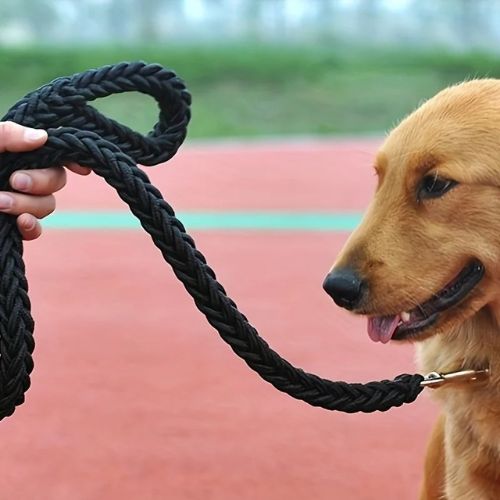 laisse-pour-chien-noire