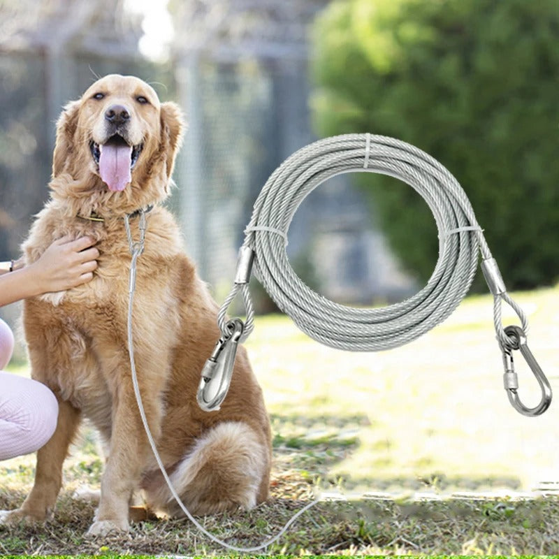 laisse-pour-chien-parc