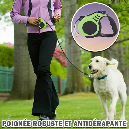 laisse-pour chien-vert