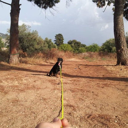 longe-pour-chien-confort-mains-du-maitre