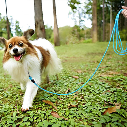longe-pour-chien-en-corde-bleu