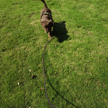 longe-pour-chien-en-corde-noir