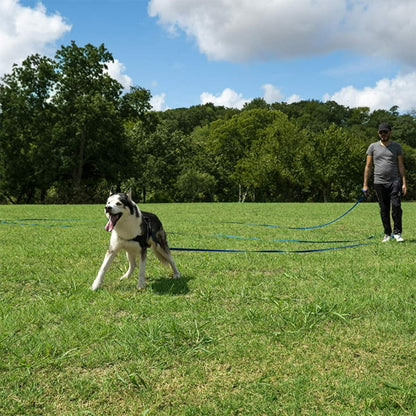 longe-pour-chien-canin-qui-court