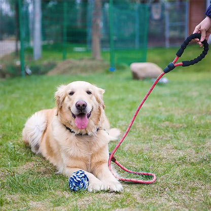 longe pour chien rouge avec rayures noires golden couché