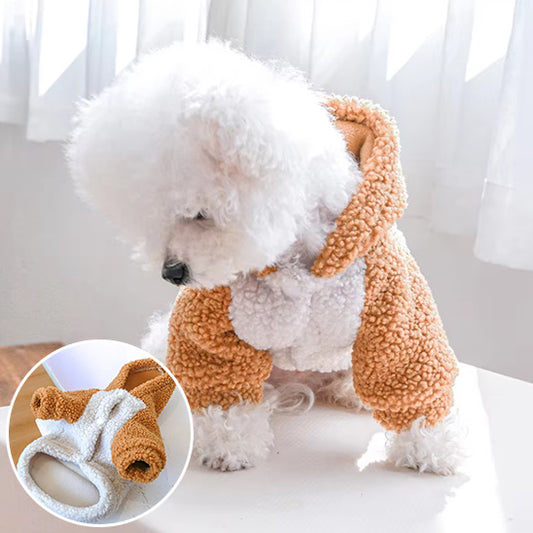 manteau-chien-caramel-et-blanc-avec-capuche