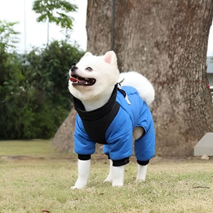 manteau chien coloris bleu noir