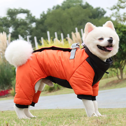 manteau chien coloris orange noir