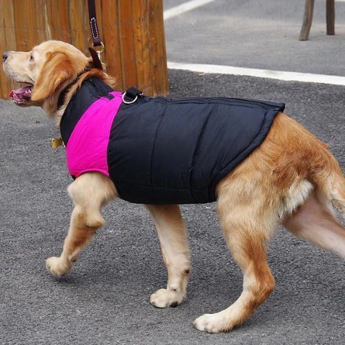 manteau-chien-couleur-rose