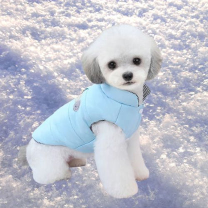 manteau-chien-bleu-dans-la-neige