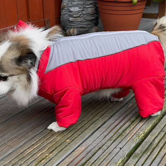 manteau chien garçon rouge gris petit canin