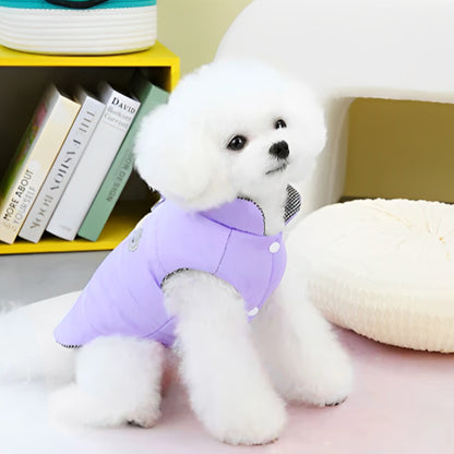 manteau-chien-violet-solide-et-durable