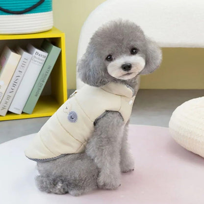 manteau-chien-beige-sorties-hivernales