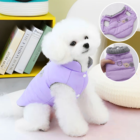 manteau-chien-ton-violet