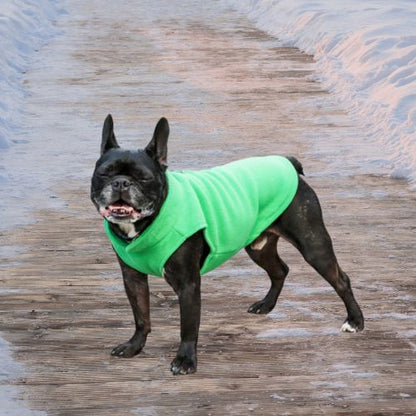 manteau-pour-chien-colori-vert-menthe