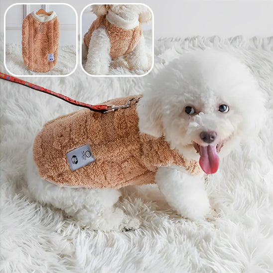 manteau-pour-chien-de-style-corail-et-brun-le-chien-est-assis-sur-un-tapis-en-peluche