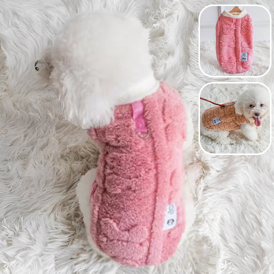 manteau-pour-chien-de-couleur-rose-et-le-canin-est-prêt-pour-une-promenade