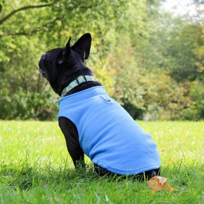 manteau-pour-chien-polaire-colori-bleu-clair