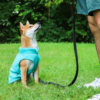 manteau-pour-chien-polaire-colori-turquoise