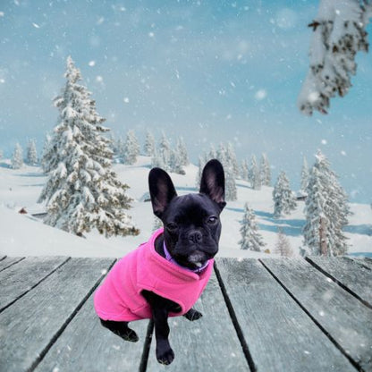 manteau-pour-chien-sapins-neige