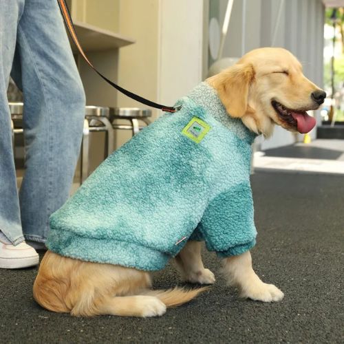 manteau-pour-chien-coloris-vert-turquoise