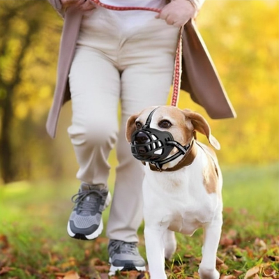 Muselière chien femme canin sentier