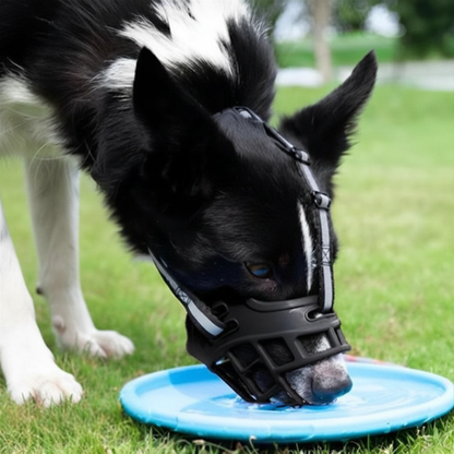 Muselière chien canin noir blanc boit eau