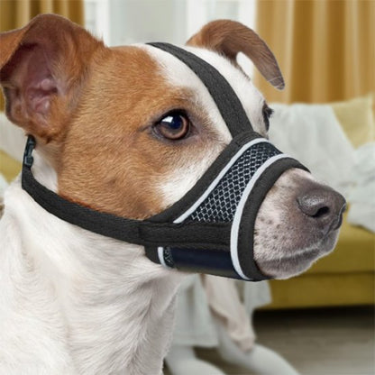 Muselière pour chien brun blanc taille moyenne