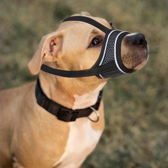 Muselière pour chien noir golden brun