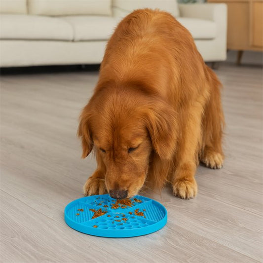 tapis de lechage chien avec nourriture golden mange