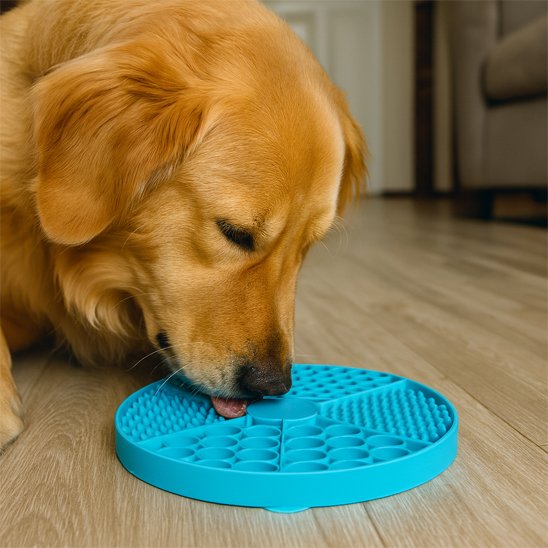 tapis de lechage chien sur plancher en bois