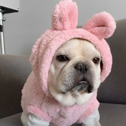pull-pour-chien-amusant-mignon